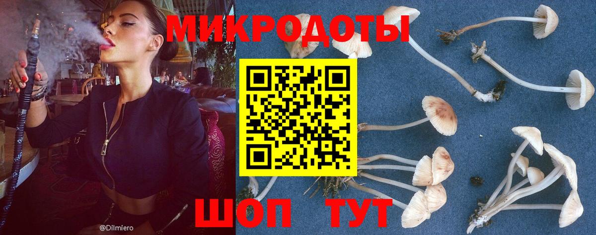 Галлюциногенные грибы Psilocybine cubensis Альметьевск